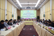韩国企业赴芹苴市寻找投资机会