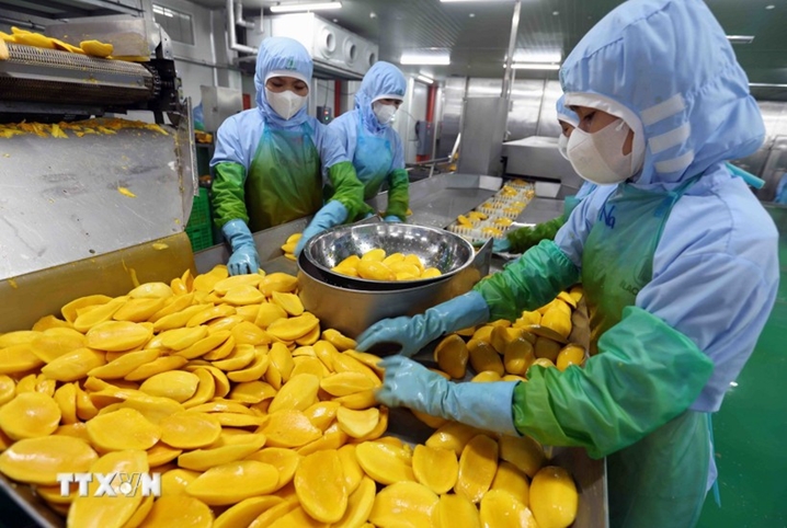 越南经济增长速度给国际投资者留下深刻印象