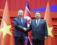 越南与朝鲜关系史上的重要里程碑