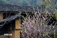 祖国最北端宁静的童话村——倮倮寨