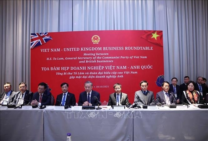 越共中央总书记苏林出席越南-英国企业座谈会