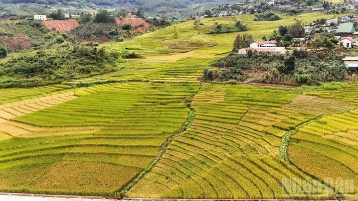 广义省推进生态旅游与海岛旅游融合发展