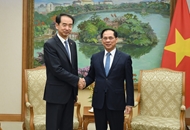 越南政府副总理裴青山会见中国驻越南大使何炜