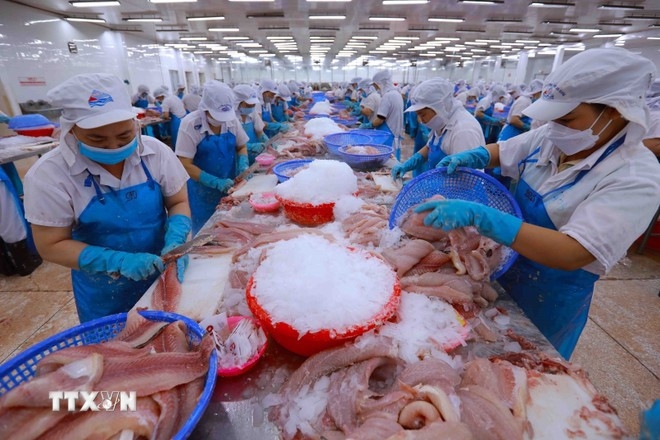 2025年越南农产品出口有望突破700亿美元