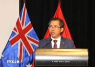 澳大利亚-越南政策研究所——双边关系的桥梁