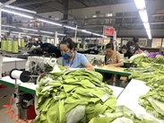 越南纺织服装业通过绿色化与数字化实现突破