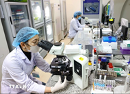 至2030年和展望至2045年国家知识分子队伍发展战略获批