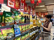 2025年越南国内市场报告出炉