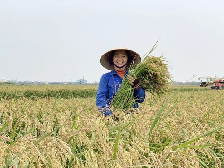 以色列大米消费需求与越南出口前景