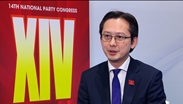 越南常驻联合国代表团团长：越共十四大将多边外交确立为重要战略支柱
