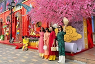 新春将至 万象更新