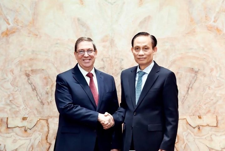 党际交往是越古关系整体发展的关键政治基础和方向指引