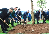 越共中央总书记苏林出席“世世代代铭记胡志明主席功勋”植树节启动仪式