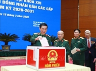 越南党和国家领导人在河内各投票区参加投票