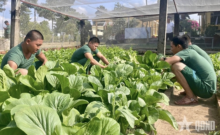 第七军区77防空旅新兵的周末活动