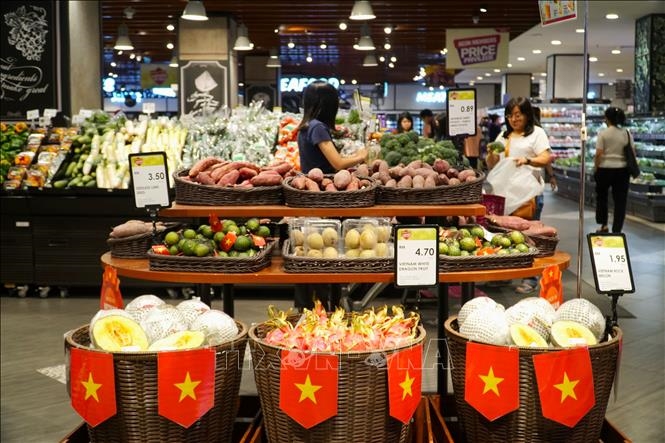 越南政府总理发布关于动员海外越南人参与越南商品推介与销售渠道拓展