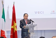 越南国会主席陈青敏出席促进越意合作政策座谈会