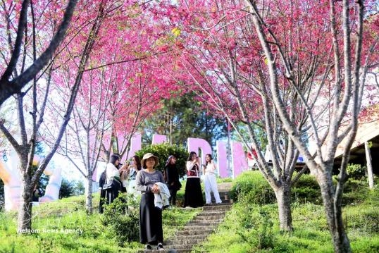 4·30假期：越南游客优化预算注重真实体验