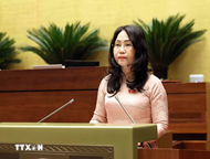 第十六届国会第一次会议：讨论越南文化发展的10大政策