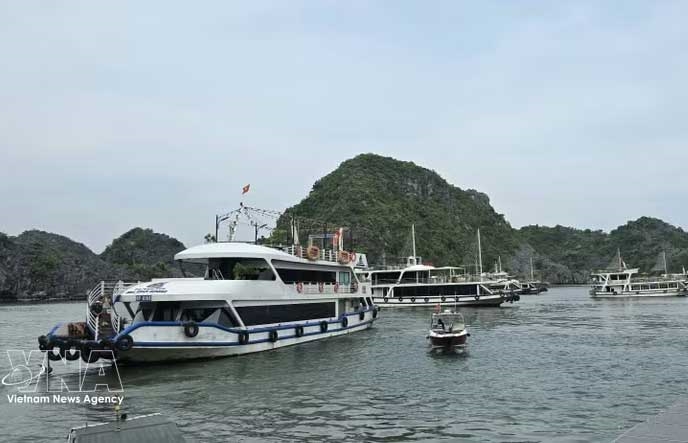 下龙湾至兰夏湾跨湾精品旅游航线开通运营