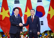 越南政府总理黎明兴会见韩国总统李在明