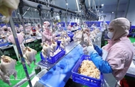 越韩互相开放经加工鸡肉市场