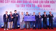 ຈັດການພົບປະແລກປ່ຽນວັດທະນະທຳ ຫວຽດນາມ - ຍີ່ປຸ່ນ