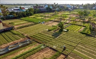 ໝູ່​ບ້ານຜັກ ຈ່າ​ເກວ - “ໝູ່​ບ້ານ​ທ່ອງ​ທ່ຽວ​ດີ​ກ່​ວາ​ໝູ່​ໃນ​ໂລກ” ປີ 2024