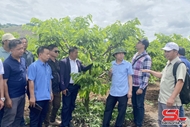 ການຮ່ວມມືພັດທະນາກະສິກຳກັບບັນດາແຂວງຂອງປະເທດລາວ