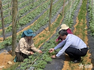 JICA ຍາມໃດກໍ່ຮ່ວມເດີນທາງພ້ອມກັບຫວຽດນາມໃນຫຼາຍຂົງເຂດ