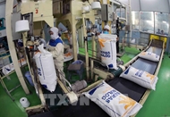 ຫວຽດນາມ ໂດດເດັ່ນໃນອາຊຽນ ດ້ວຍການເຕີບໂຕແຮງໃນປີ 2025