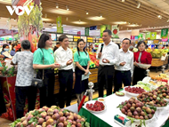 ການສົ່ງອອກຜະລິດຕະພັນກະເສດຂອງແຂວງເຊີນລາ ບັນລຸກວ່າ 218 ລ້ານໂດລາສະຫະລັດ ໃນປີ 2025