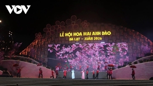 ໄຂງານບຸນດອກສະກຸຣະ ດ່າລາດ - ລະດູບານໃໝ່ 2026