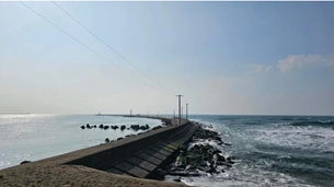 ສະຖານທູດຫວຽດນາມ ສົມທົບກັບອົງການທີ່ກ່ຽວຂ້ອງຂອງຍີ່ປຸ່ນ ຊອກຫາກູ້ໄພພົນລະເມືອງທີ່ຫາຍສາບສູນຢູ່ທະເລ