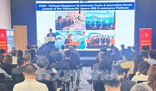 ຫວຽດນາມ - ສິງກະໂປ ຊຸກຍູ້ການຮ່ວມມືເສດຖະກິດສີຂຽວ ແລະການຄ້າແບບຍືນຍົງ