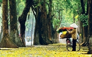 ទីក្រុងហាណូយ និងទីក្រុងហូជីមិញ ស្ថិតក្នុងបញ្ជី “ទីក្រុងល្អបំផុតនៅលើពិភពលោក”