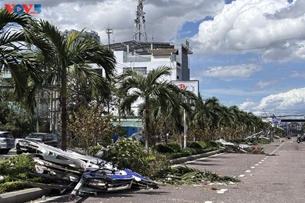 សហគមន៍ជនវៀតណាមនៅចក្រភពអង់គ្លេសចូលរួមជួយជនរងគ្រោះដោយទឹកជំនន់នៅក្នុងប្រទេស