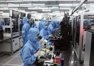 វៀតណាម ជាឧទាហរណ៍ដ៏លេចធ្លោមួយនៃ "រូបមន្ត" សម្រាប់ការទាក់ទាញ FDI នៅអាស៊ី