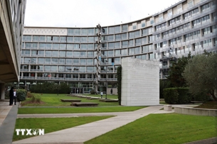 អង្គការយូណេស្កូជួយគាំទ្រប្រទេសវៀតណាម ក្នុងការការពារបេតិកភណ្ឌវប្បធម៌ បន្ទាប់ពីគ្រោះមហន្តរាយធម្មជាតិ