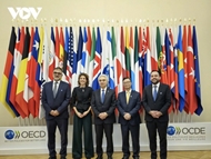 វៀតណាមក្លាយជាប្រទេសតភ្ជាប់​នៃទីភ្នាក់ងារថាមពលអន្តរជាតិ (IEA) ជាផ្លូវការ