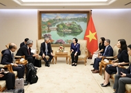 ក្រុមហ៊ុន Erex (ជប៉ុន) រួមដំណើរជាមួយវៀតណាមក្នុងការអភិវឌ្ឍធនធានមនុស្សប្រកបដោយគុណភាពខ្ពស់