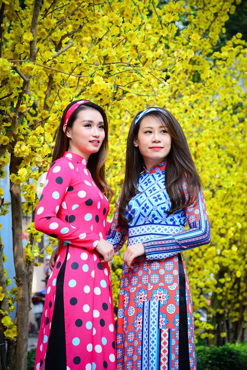 Vietnam Girls Dress