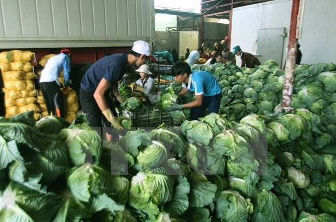 Vietnam Targets USD 4.5 Billion From Farm Produce Exports By 2020