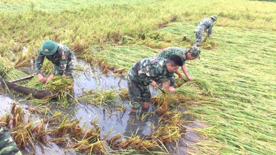 Border guards help locals harvest water-logged rice