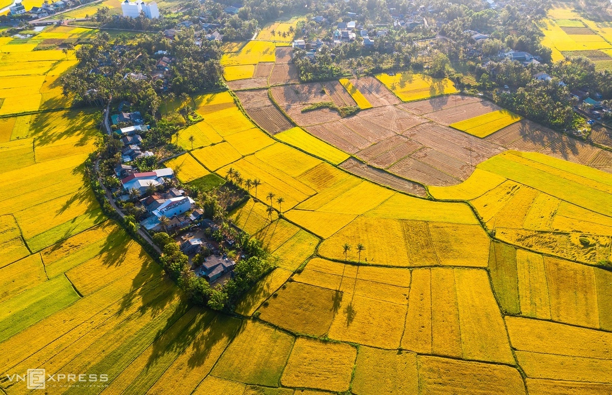aerial view, countryside: Một góc nhìn từ trên cao sẽ khiến bạn say đắm trong vẻ đẹp hoang sơ của miền quê Việt Nam. Nơi đây tràn đầy sức sống với những cánh đồng lúa, những dòng sông uốn quanh, tạo nên một khung cảnh tuyệt đẹp và bình yên.