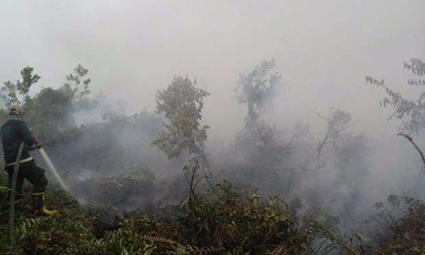 ASEAN Works To Respond To Transboundary Haze Pollution