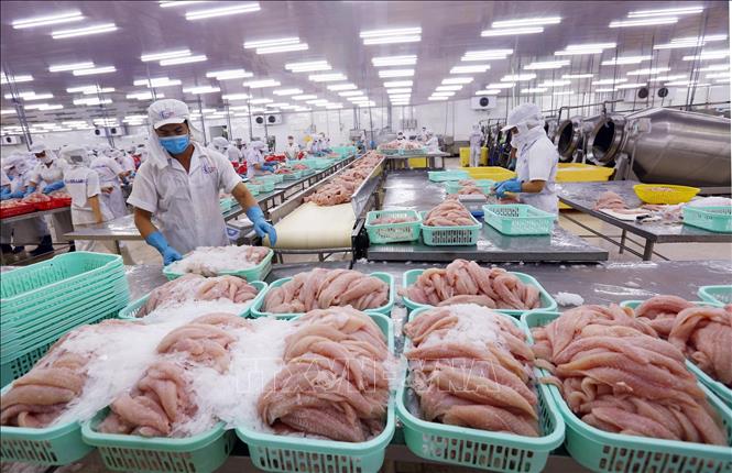 Vietnam’s January Exports Up 50.5 Percent Year-on-year