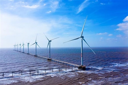 Tra Vinh: Dong Hai I wind power plant inaugurated