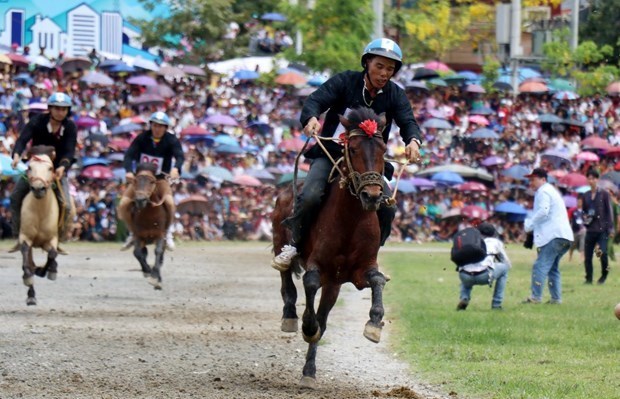 Reviving horse racing tradition in Lao Cai’s Bac Ha