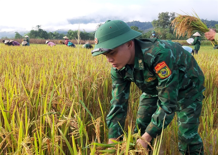 Troops help locals harvest rice after flood
